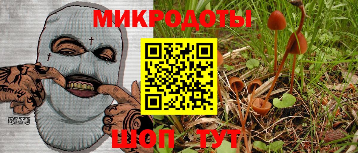 Псилоцибиновые грибы Psilocybe Рязань