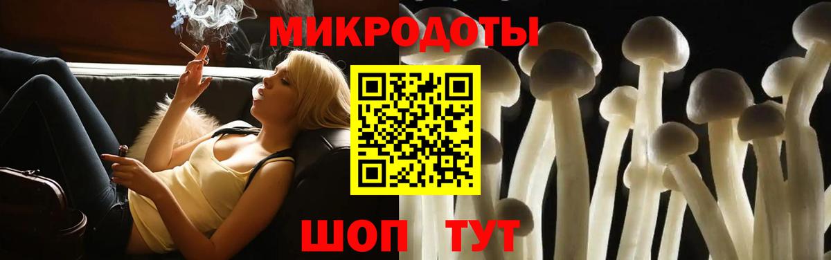 Рязань  Псилоцибиновые грибы Magic Shrooms  Вход с VPN  Галлюциногенные грибы Psilocybe 